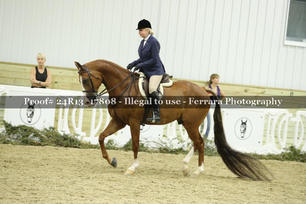 Proof 24R13_17808