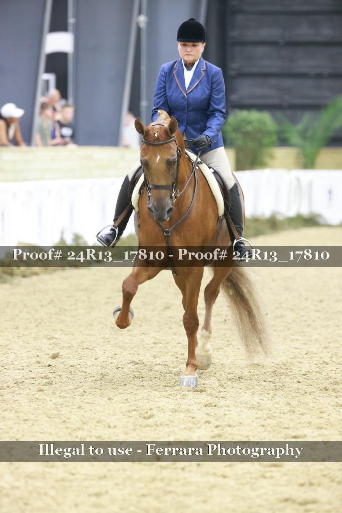 Proof 24R13_17810