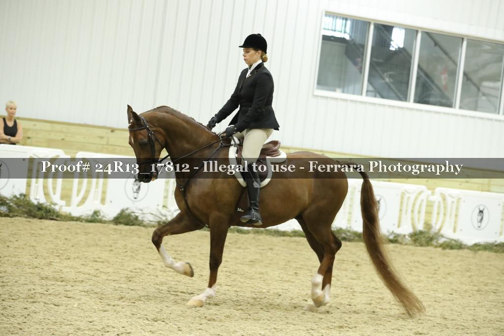 Proof 24R13_17812
