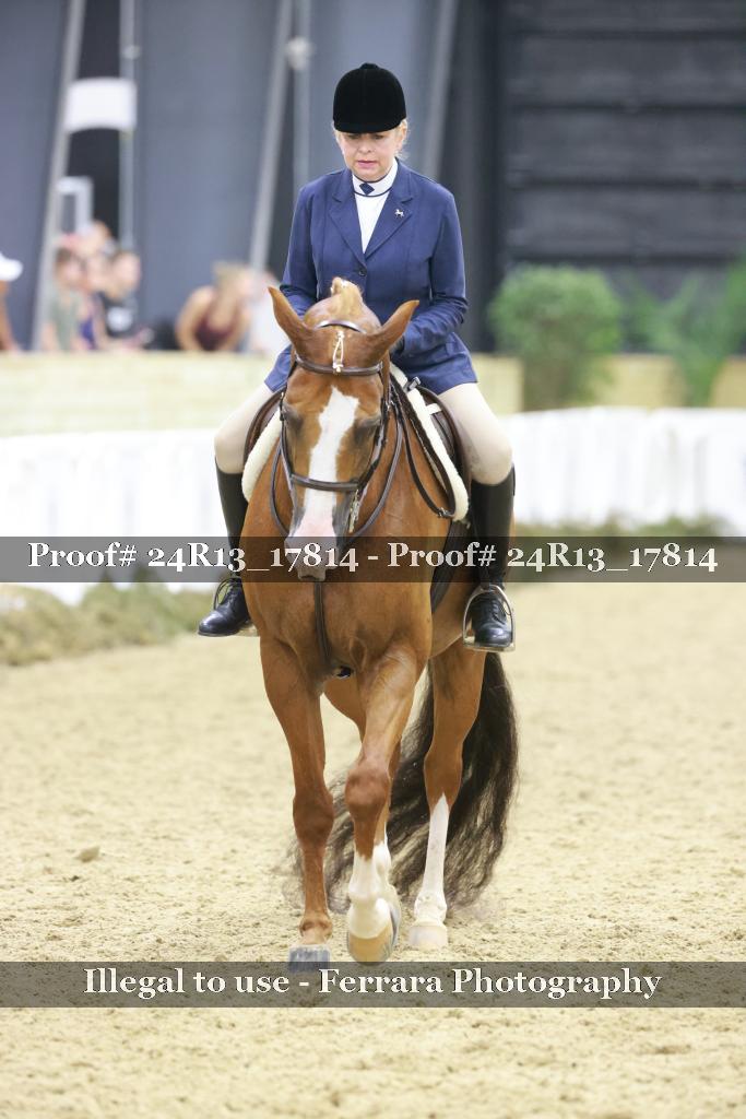 Proof 24R13_17814