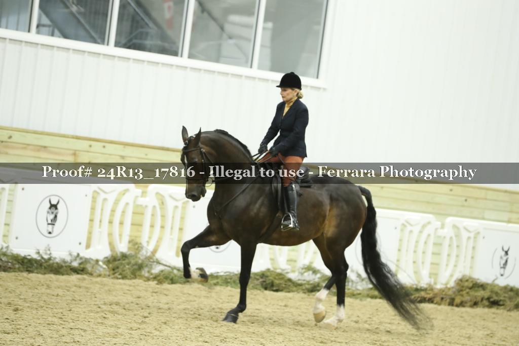 Proof 24R13_17816