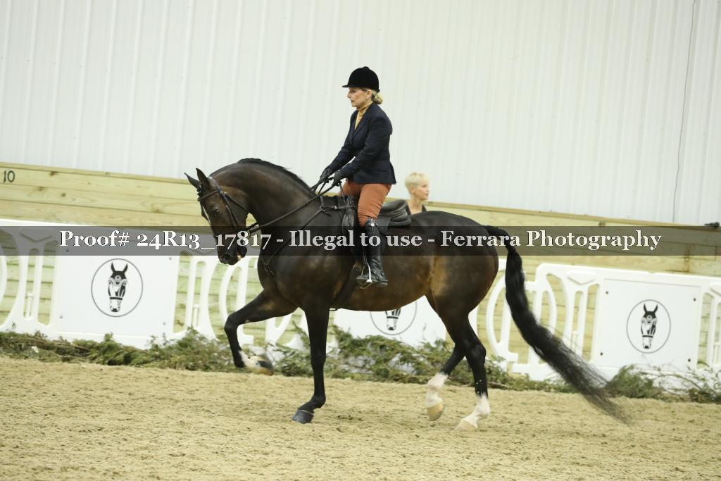 Proof 24R13_17817