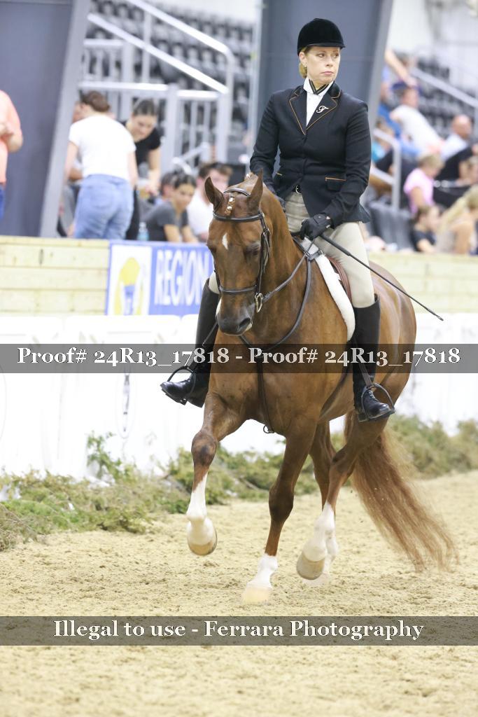 Proof 24R13_17818