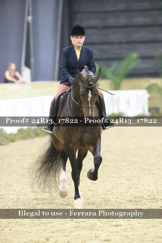 Proof 24R13_17822