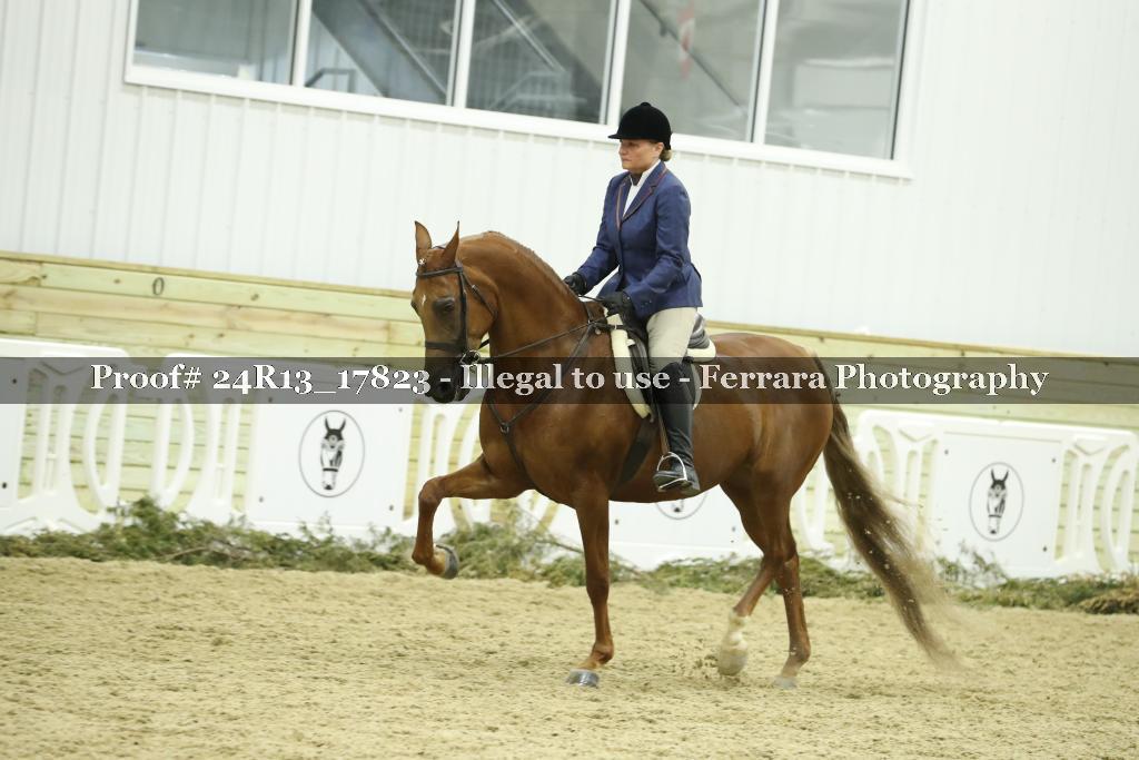Proof 24R13_17823