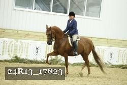 24R13_17823 proof