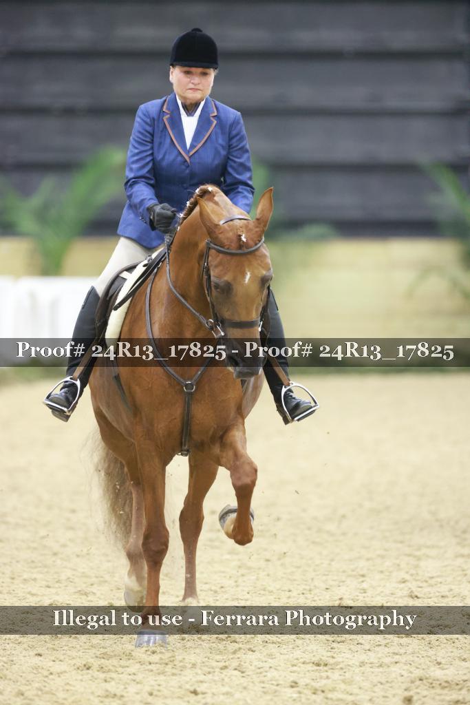 Proof 24R13_17825
