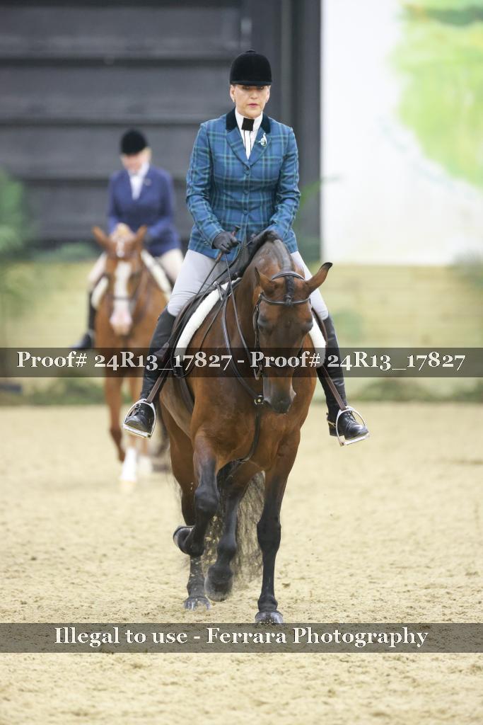 Proof 24R13_17827