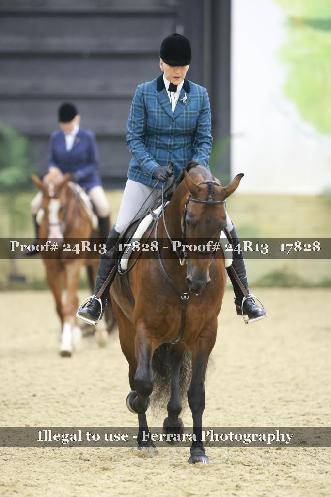 Proof 24R13_17828