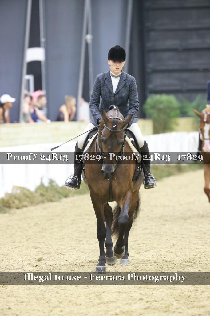 Proof 24R13_17829