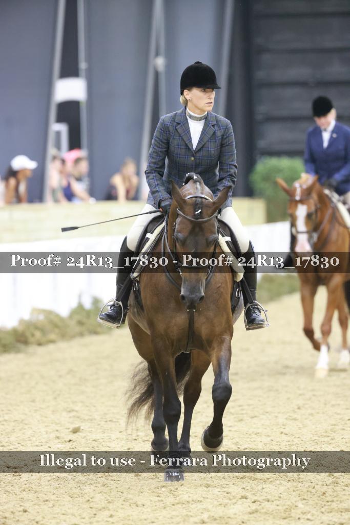 Proof 24R13_17830