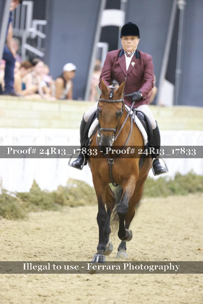 Proof 24R13_17833