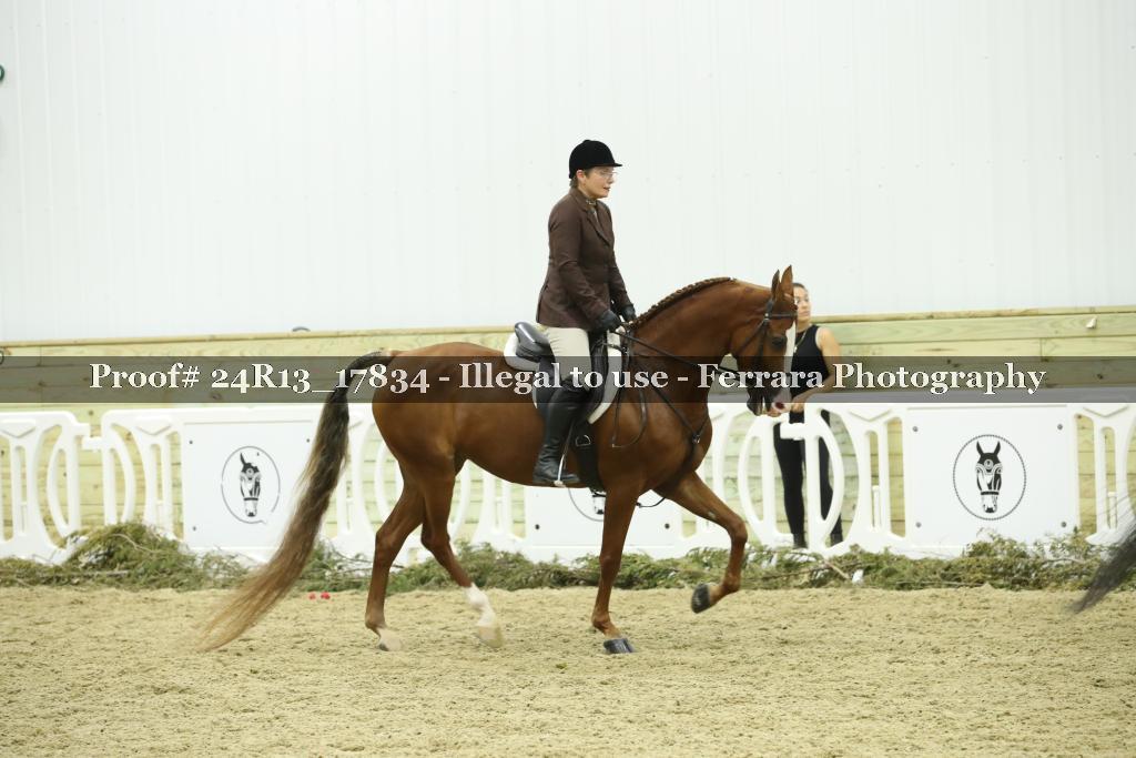 Proof 24R13_17834