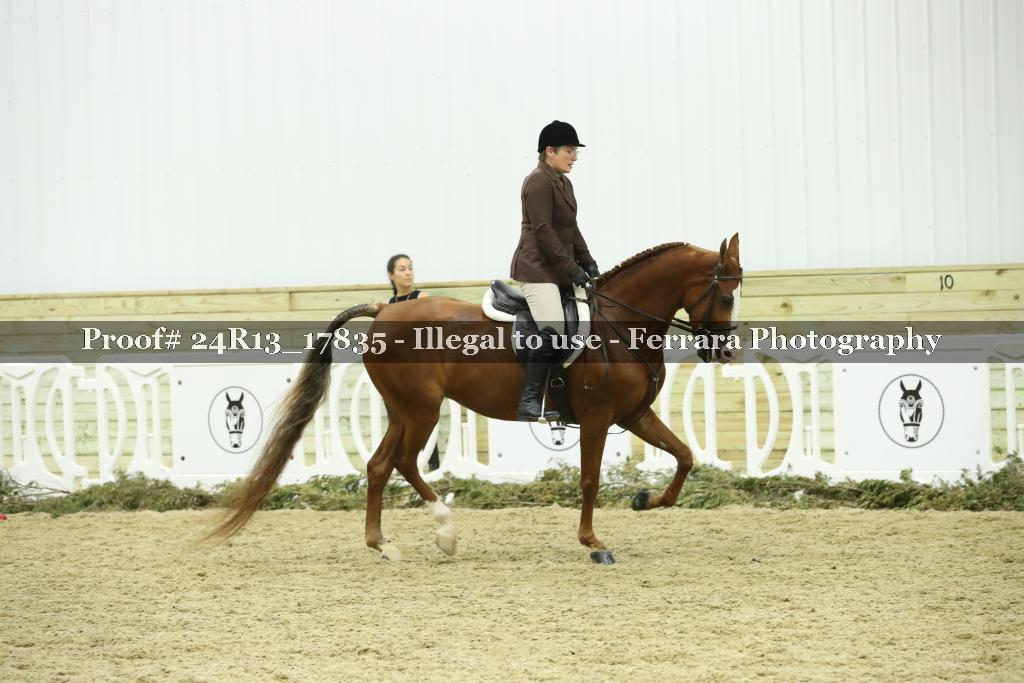 Proof 24R13_17835