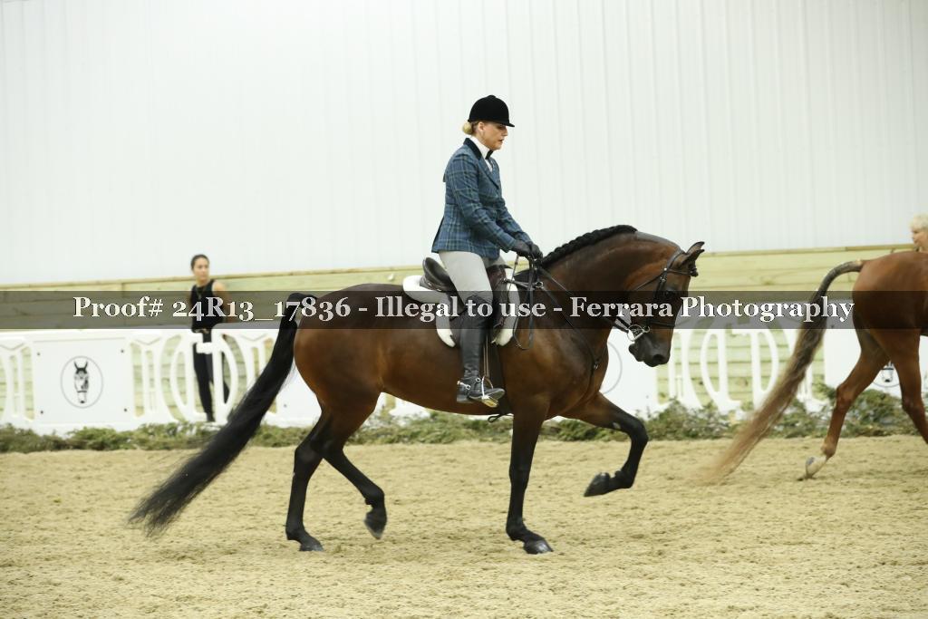 Proof 24R13_17836