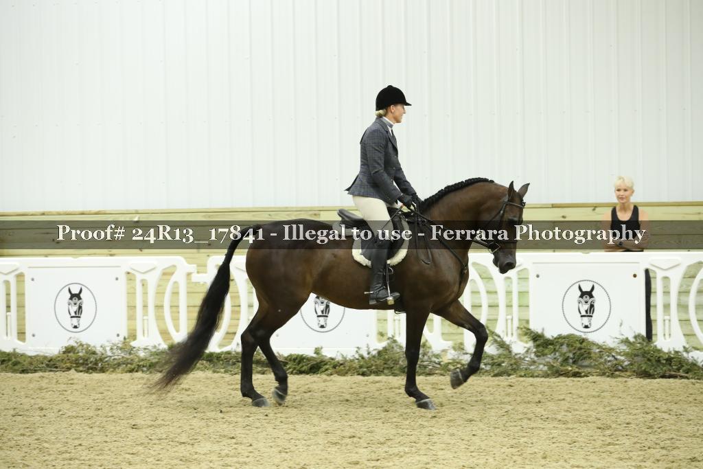 Proof 24R13_17841