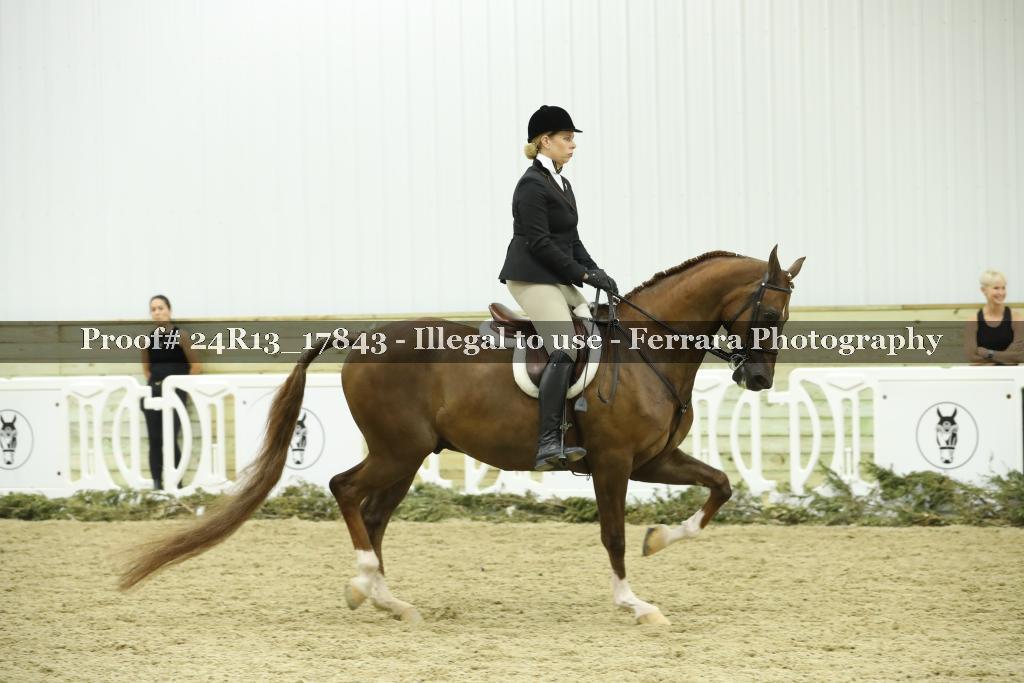 Proof 24R13_17843