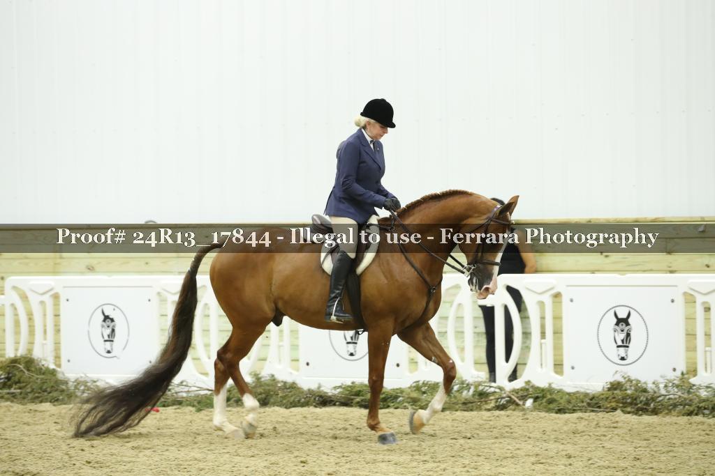 Proof 24R13_17844
