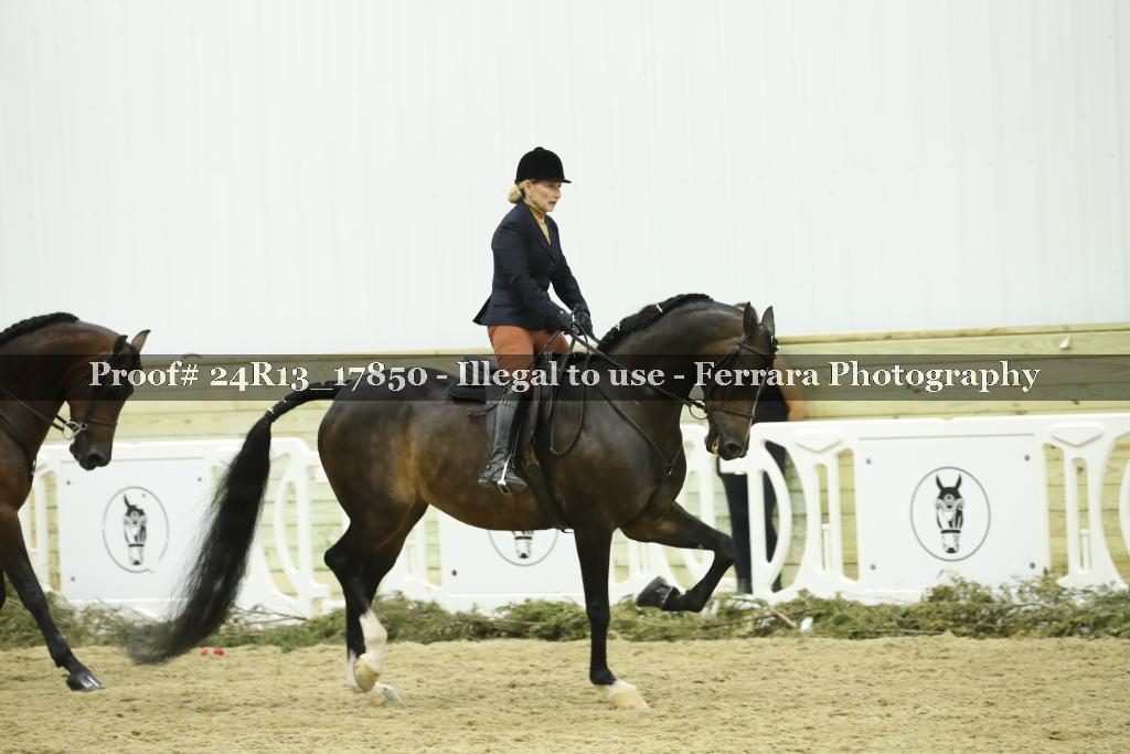 Proof 24R13_17850