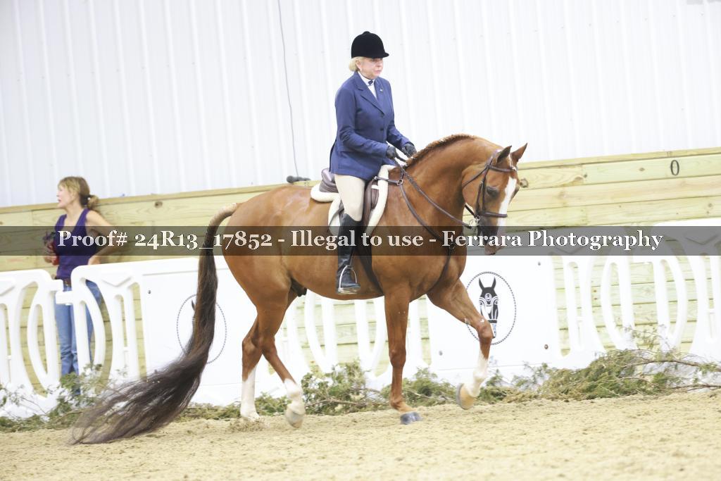 Proof 24R13_17852