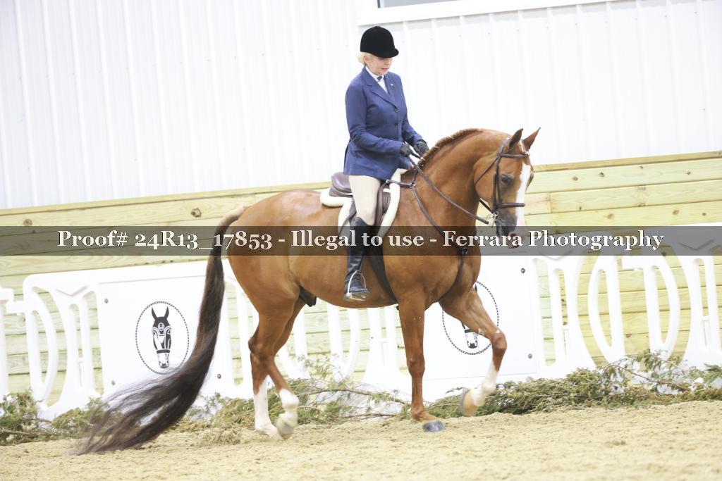 Proof 24R13_17853