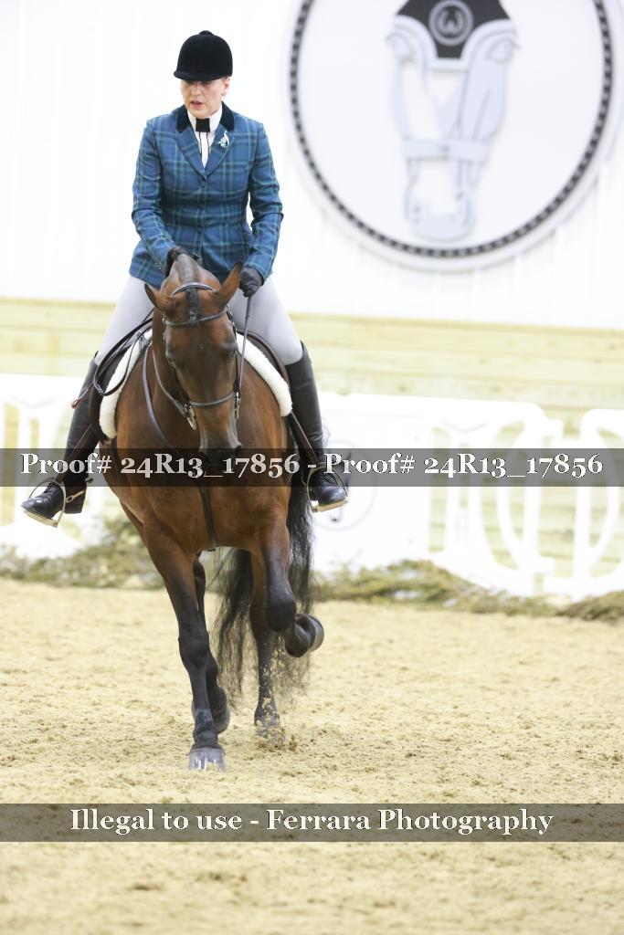 Proof 24R13_17856