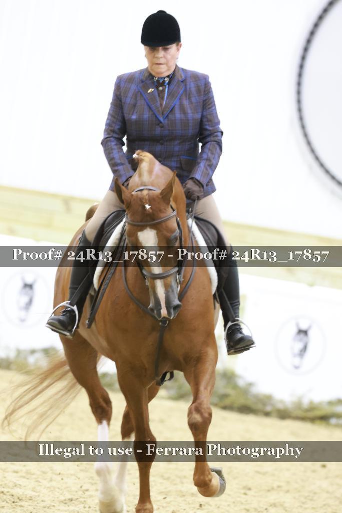 Proof 24R13_17857