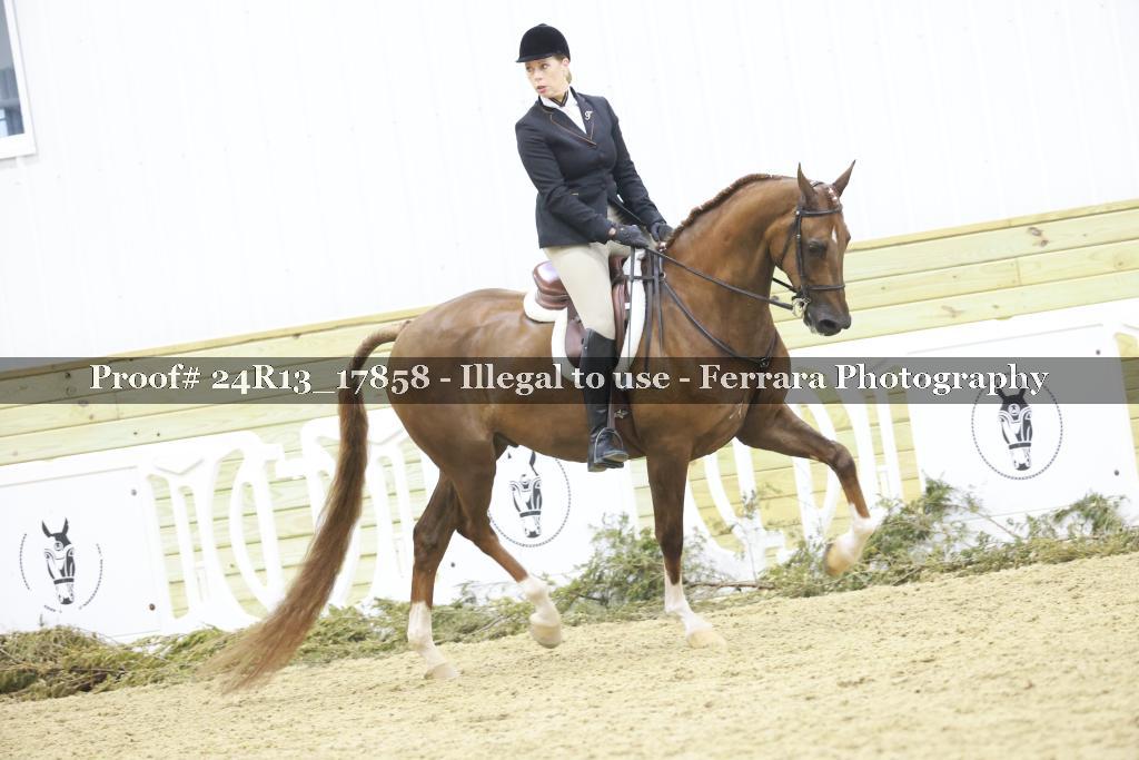 Proof 24R13_17858