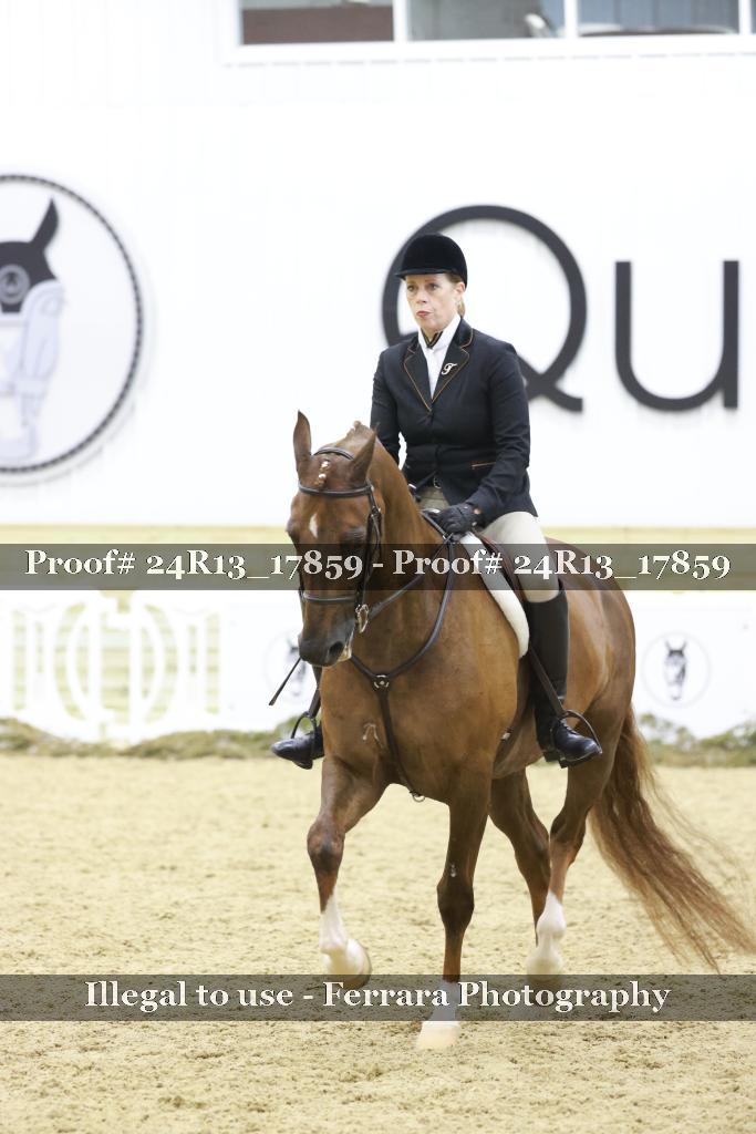 Proof 24R13_17859