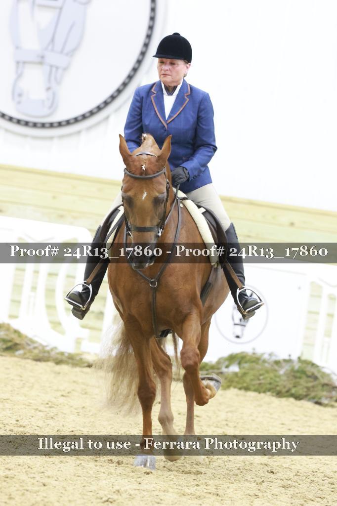 Proof 24R13_17860
