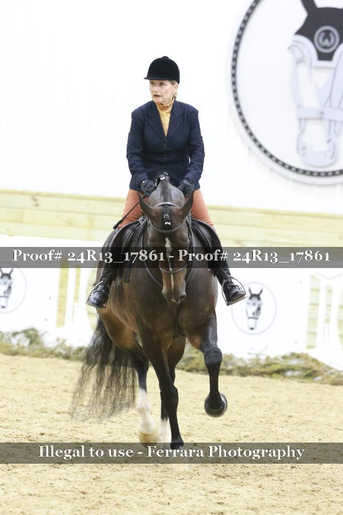 Proof 24R13_17861