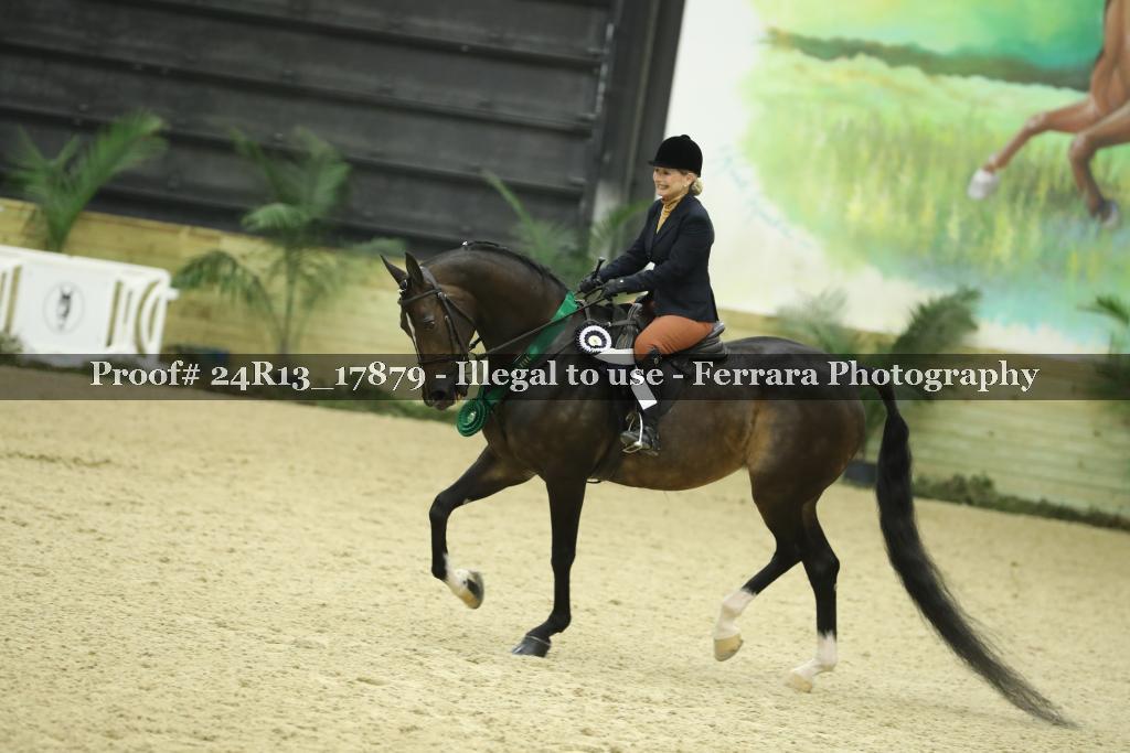 Proof 24R13_17879