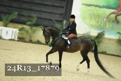 24R13_17879 proof