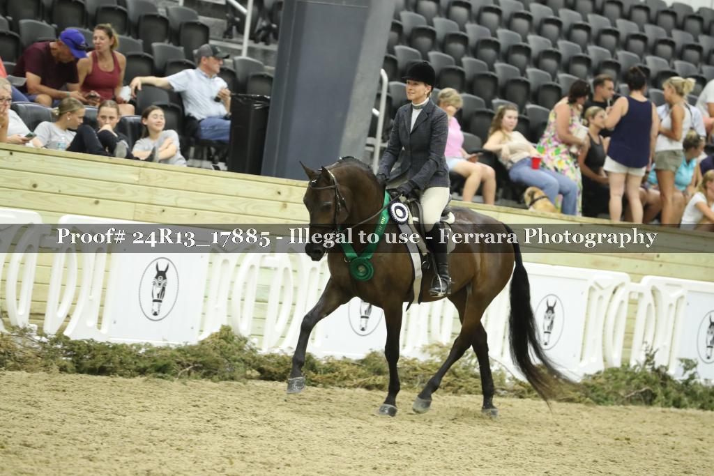 Proof 24R13_17885
