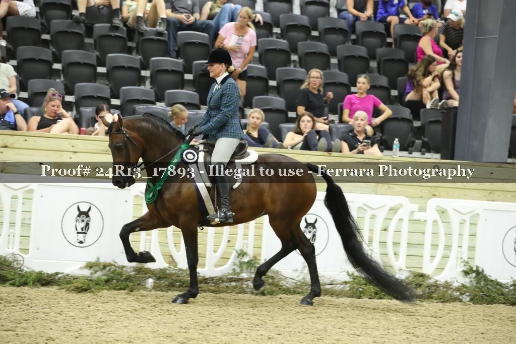 Proof 24R13_17893
