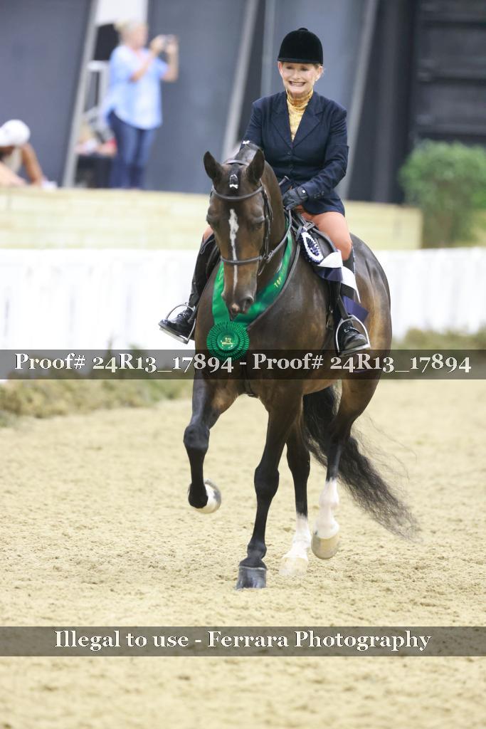Proof 24R13_17894