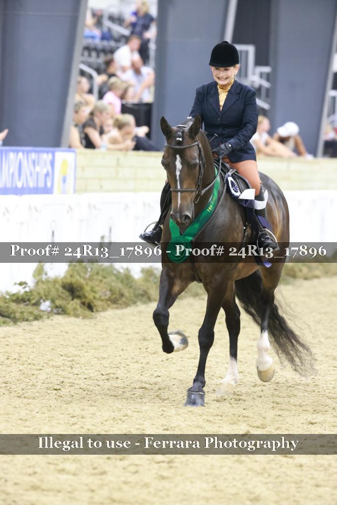 Proof 24R13_17896