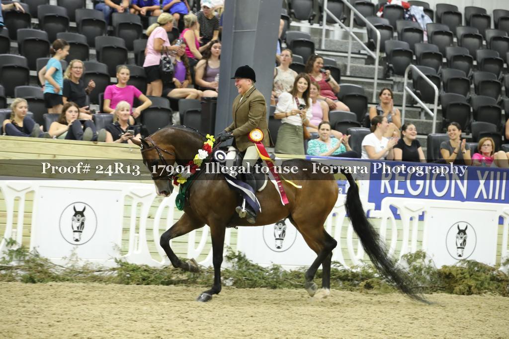 Proof 24R13_17901