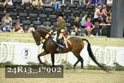 24R13_17902 proof