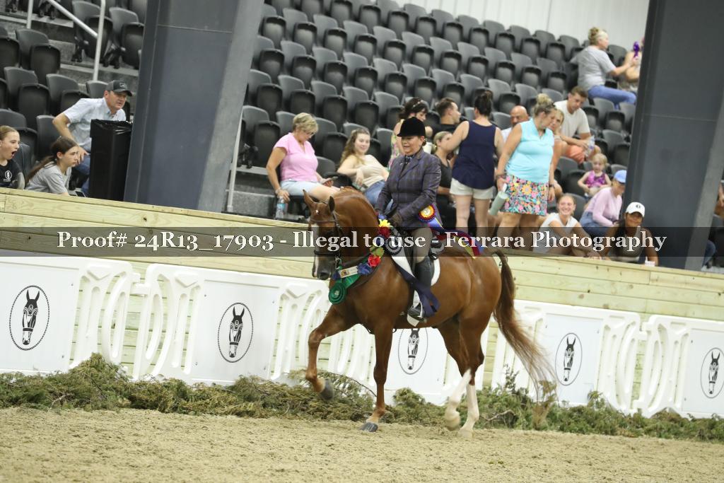 Proof 24R13_17903