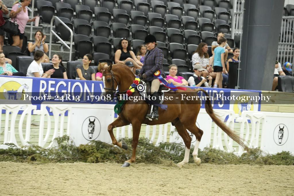 Proof 24R13_17908