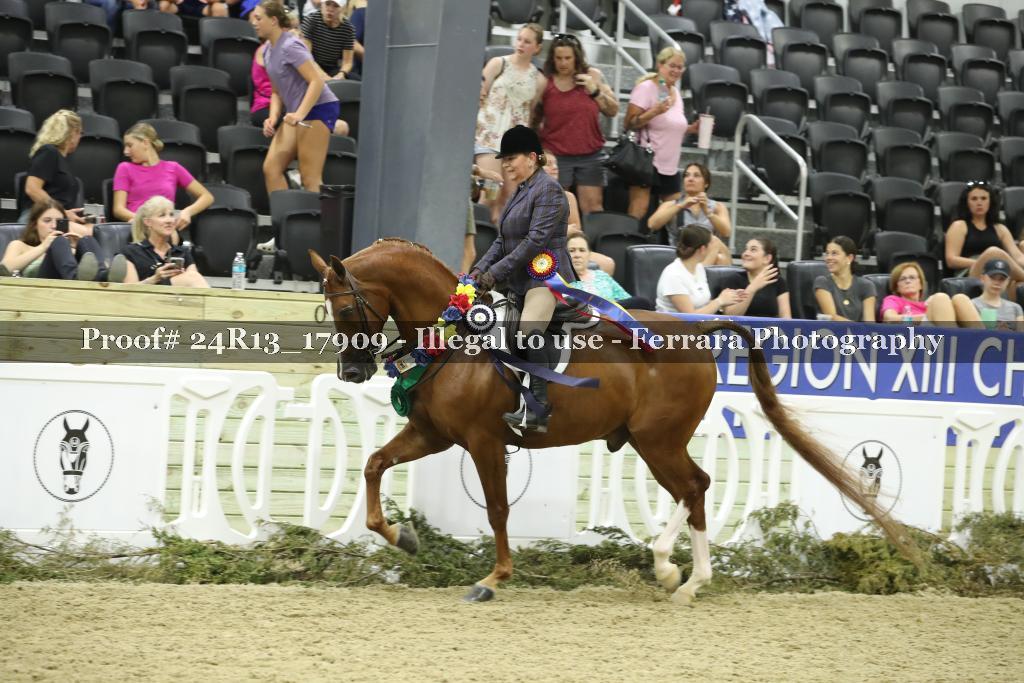 Proof 24R13_17909