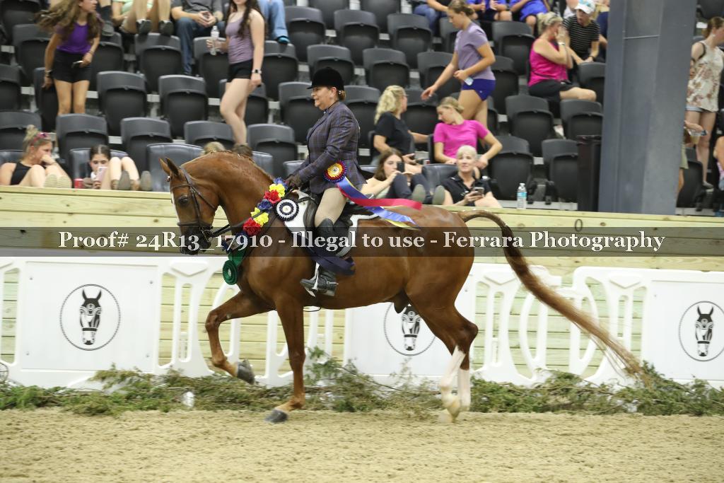Proof 24R13_17910