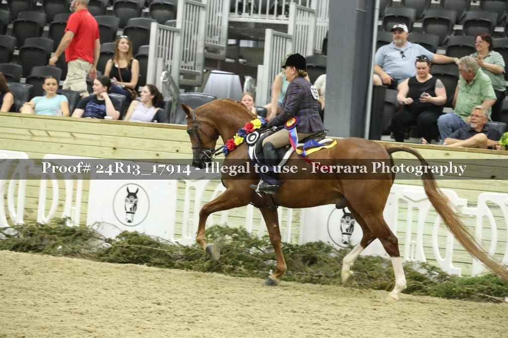 Proof 24R13_17914