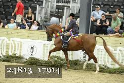 24R13_17914 proof