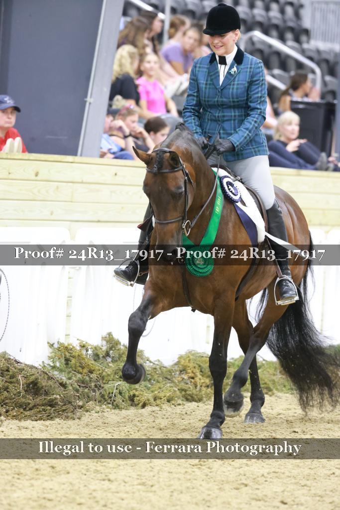 Proof 24R13_17917