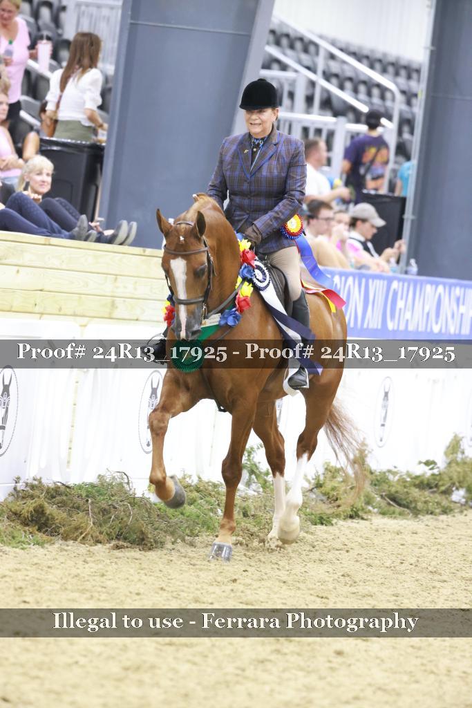 Proof 24R13_17925