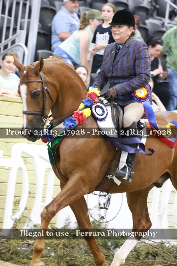 Proof 24R13_17928