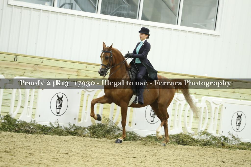 Proof 24R13_17930
