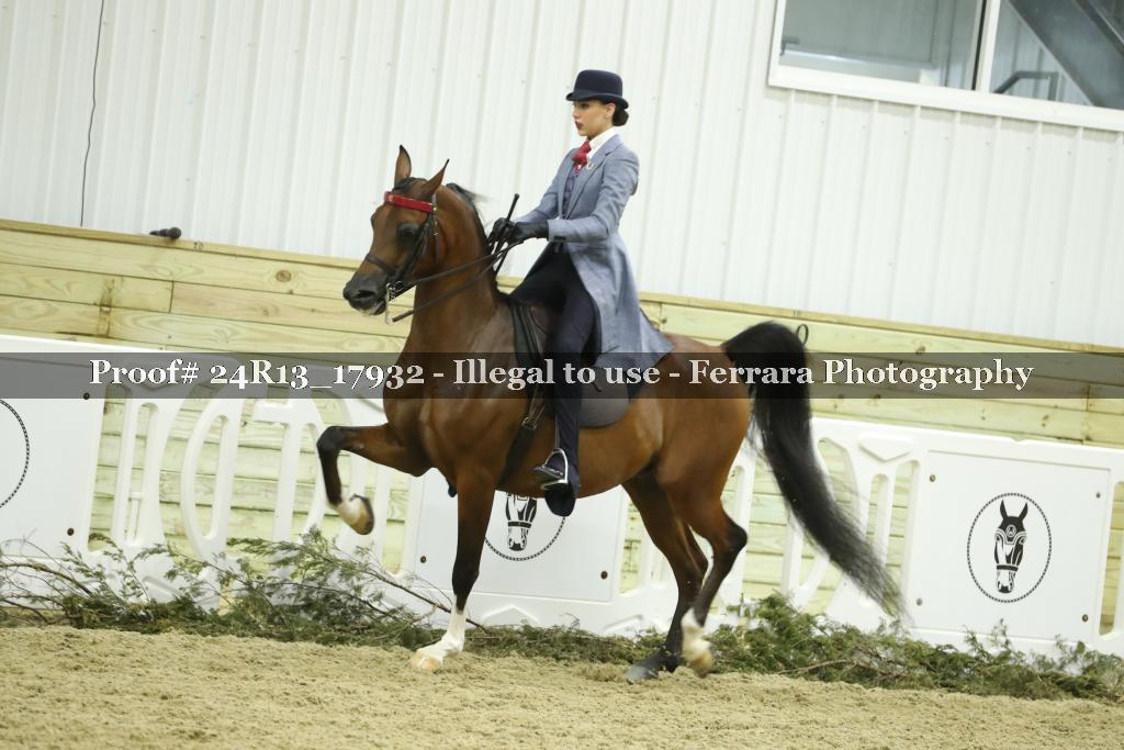 Proof 24R13_17932
